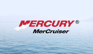 Moteur bateau mercury