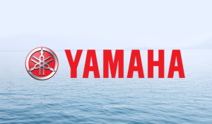 Moteur bateau Yamaha